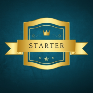 Leading Google Ads Management for All Budgets Monthly